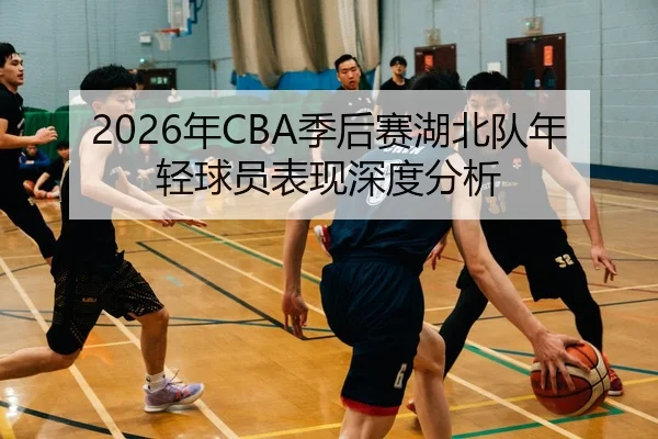 2026年CBA季后赛湖北队年轻球员表现深度分析