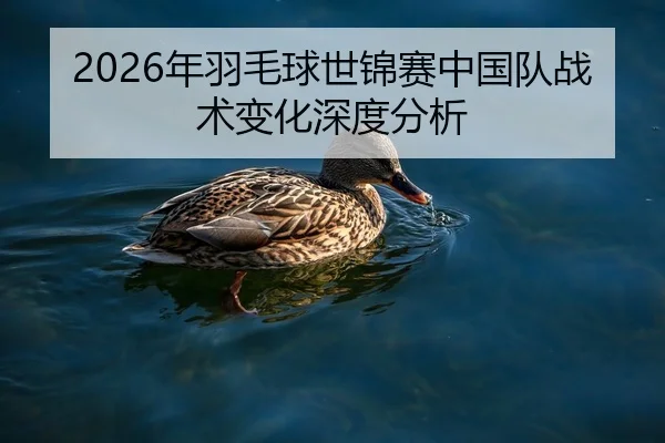 2026年羽毛球世锦赛中国队战术变化深度分析