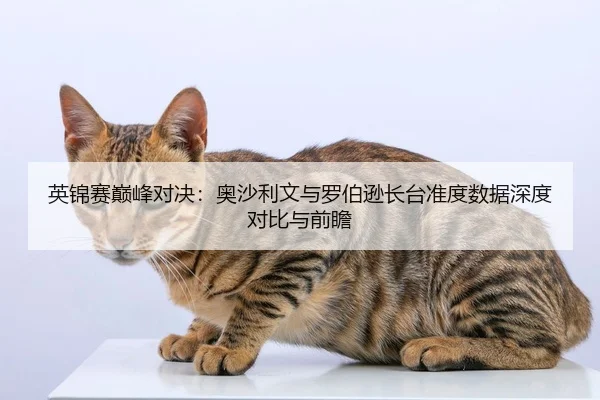 英锦赛巅峰对决：奥沙利文与罗伯逊长台准度数据深度对比与前瞻