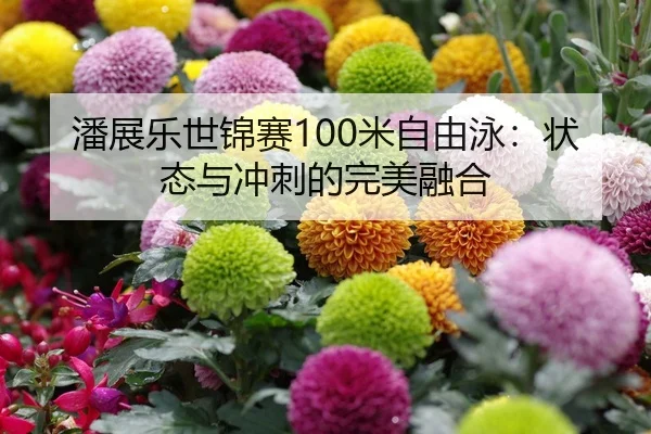 潘展乐世锦赛100米自由泳：状态与冲刺的完美融合