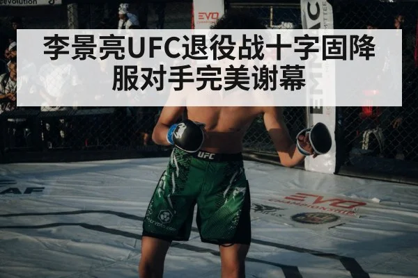 李景亮UFC退役战十字固降服对手完美谢幕